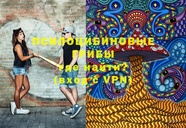 гидра Зеленокумск