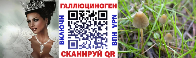 Псилоцибиновые грибы прущие грибы  Купить закладки  Тулун 